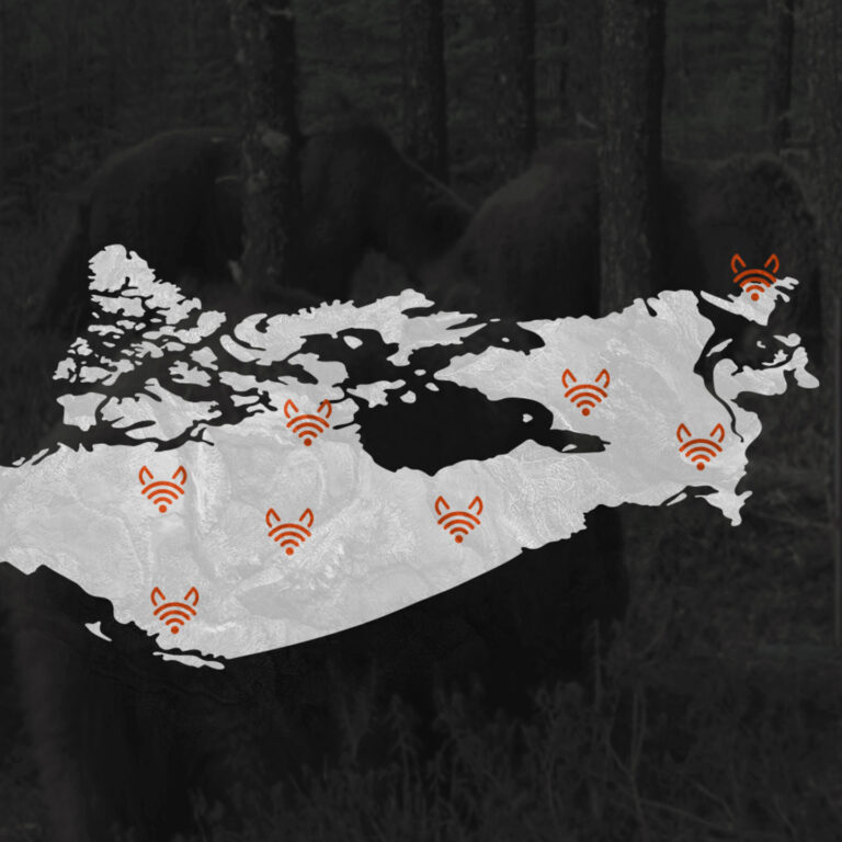A map of canada with wildlife markers demonstrated with fox logo