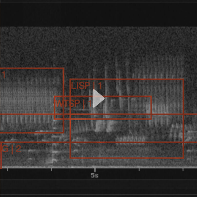 A screenshot of a video demonstrating the tracking squares